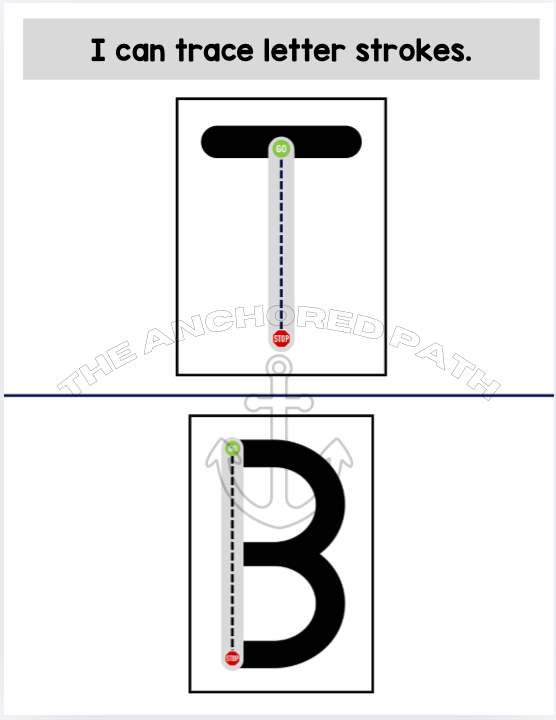 Five Senses Leveled Skill Practice Books