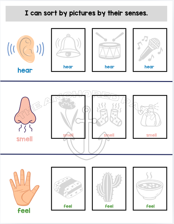 Five Senses Leveled Skill Practice Books