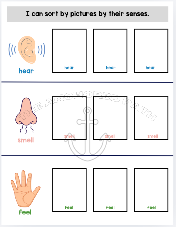 Five Senses Leveled Skill Practice Books