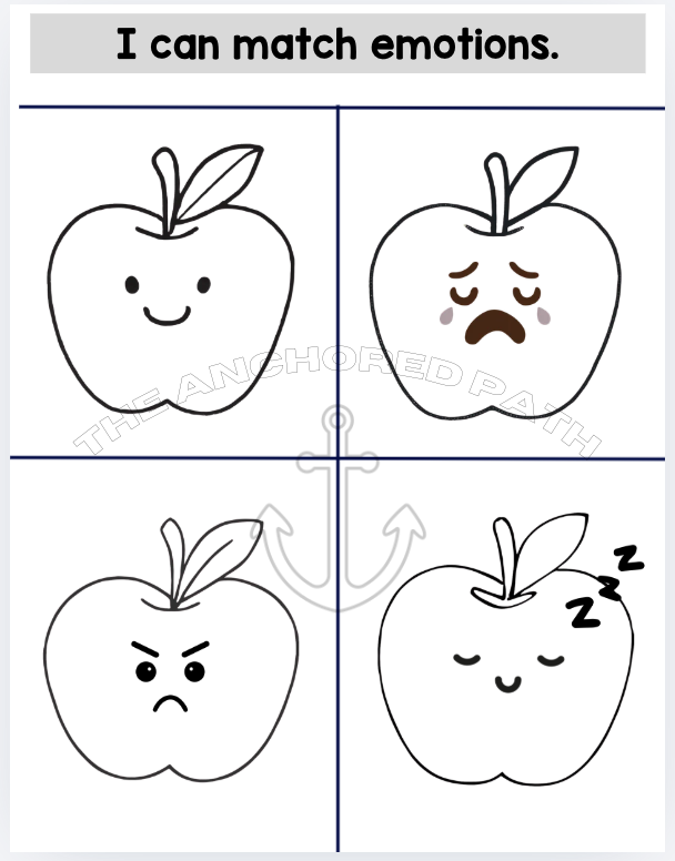 Five Senses Leveled Skill Practice Books