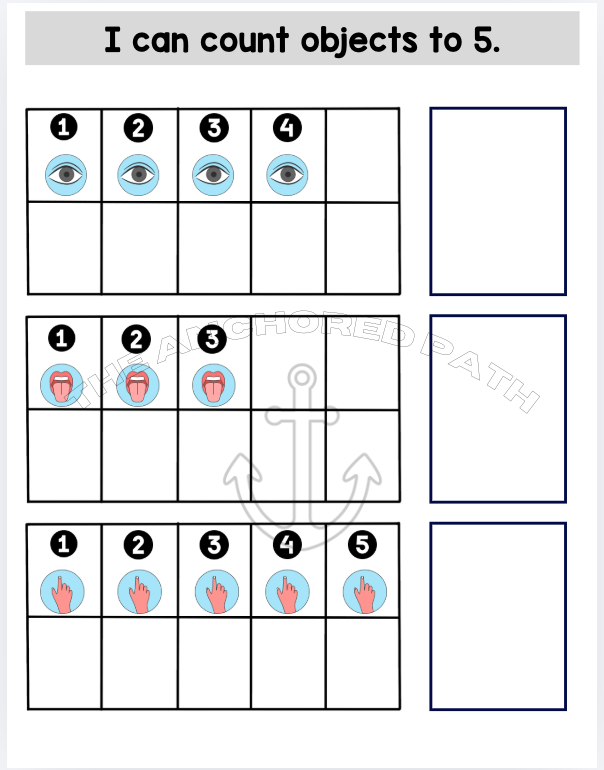 Five Senses Leveled Skill Practice Books