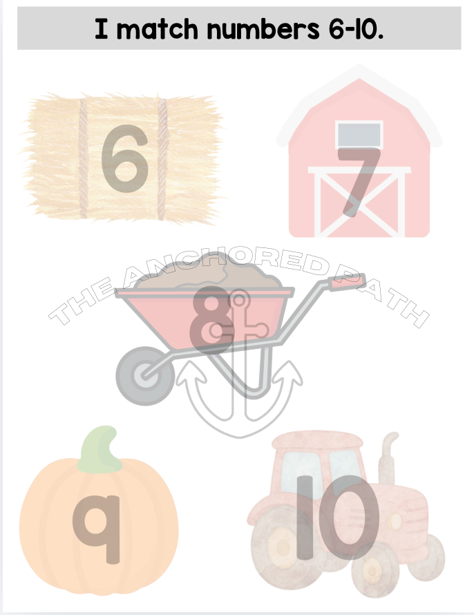 On the Farm Leveled Skill Practice Books