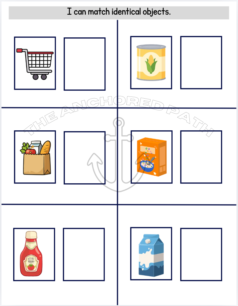 Food & Groceries Leveled Skill Practice Books