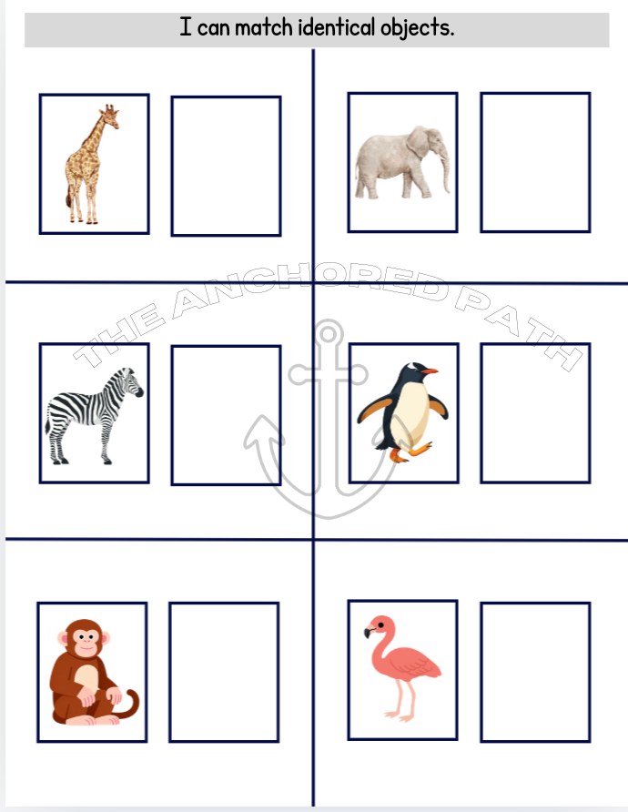 Zoo Animals Leveled Skill Practice Books
