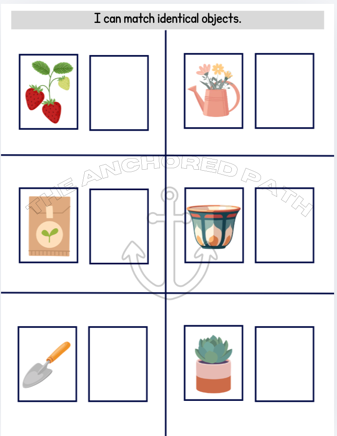 Plants & Seeds Leveled Skill Practice Books